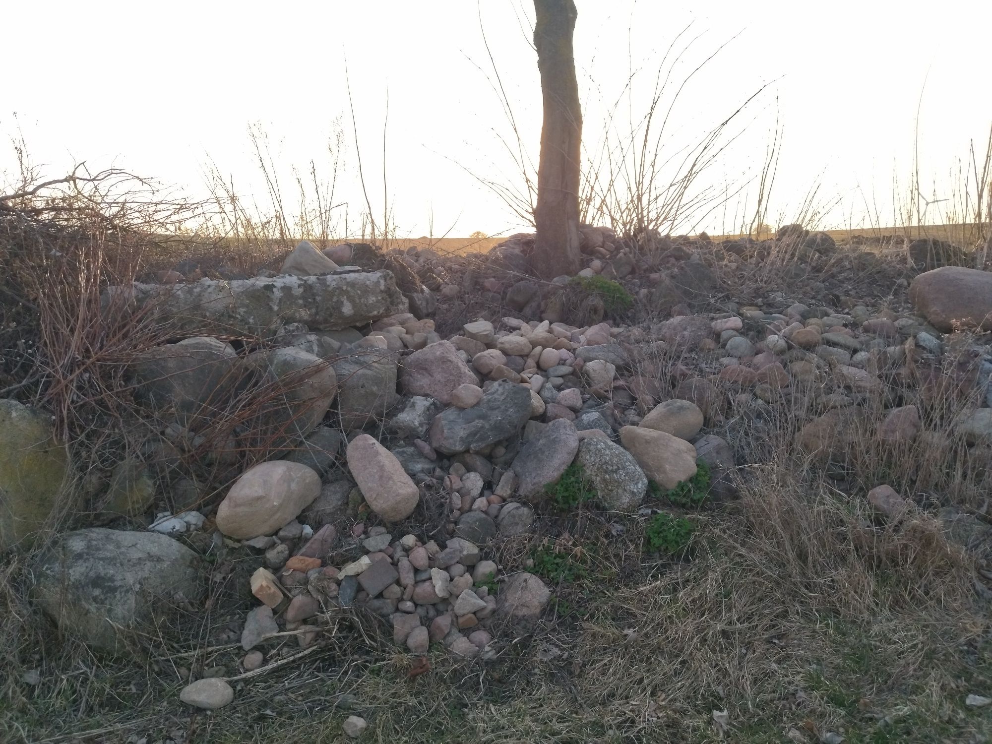 Oddam kamienie polne krusznie