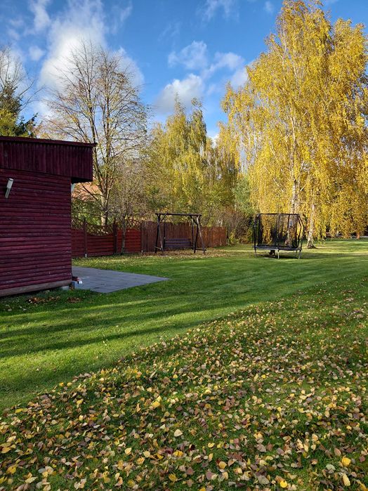 Okazja wynajmę 2500 m2 pięknej działki rekreacyjnej Brzóze k/Mińska M