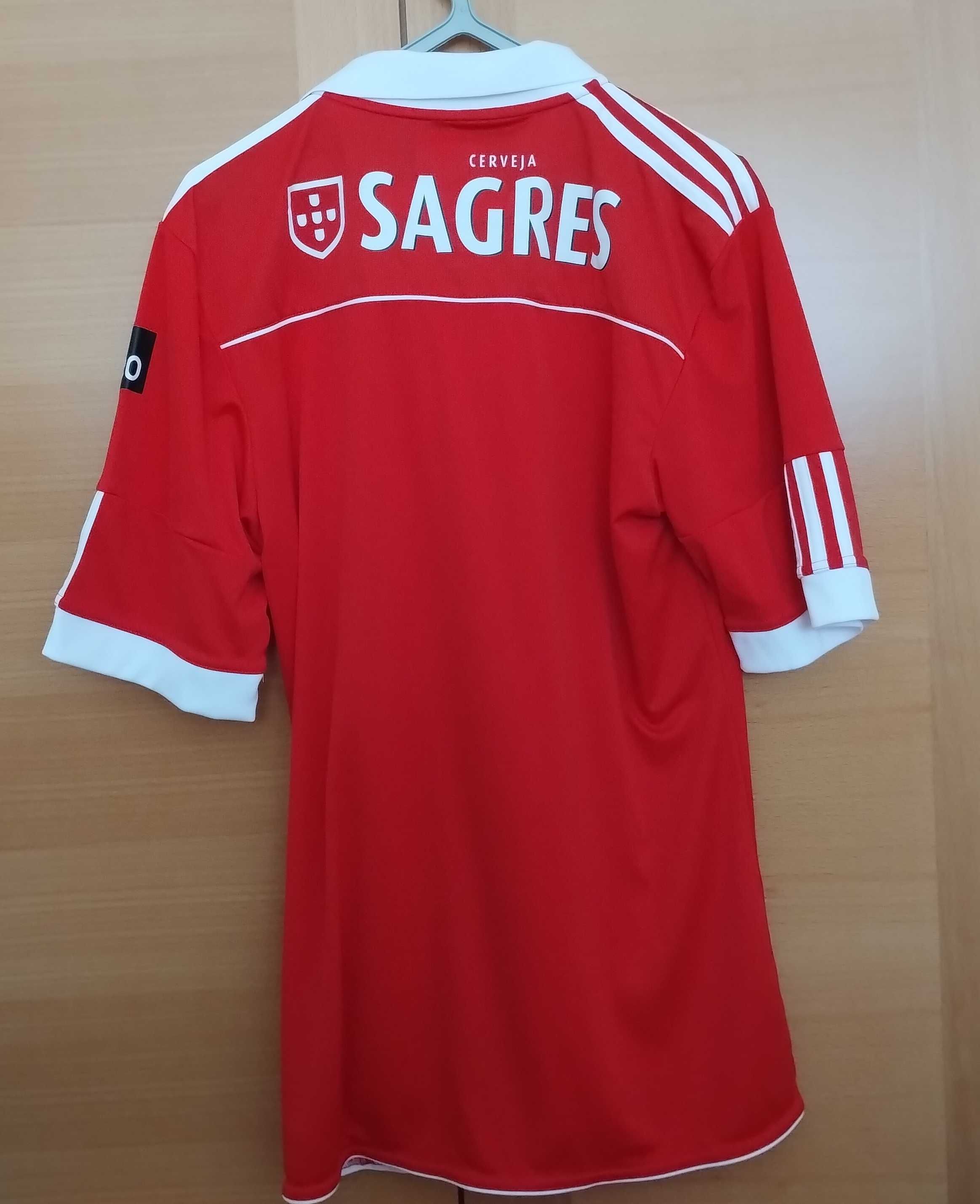 Camsiola principal Benfica - 2010 / 2011