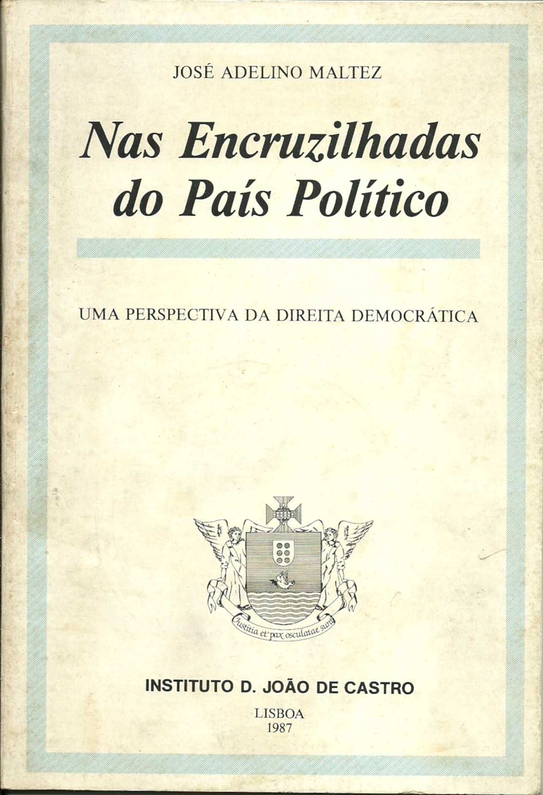 José Adelino Maltez, Nas encruzilhadas do país político