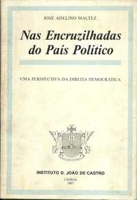 José Adelino Maltez, Nas encruzilhadas do país político