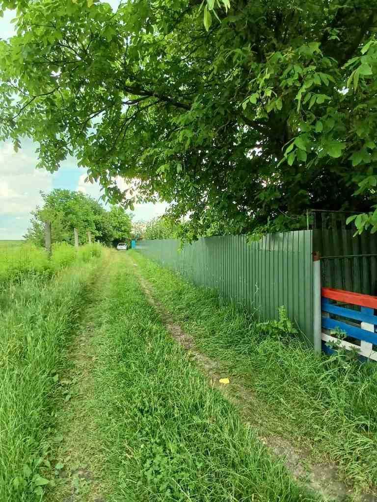 Продається ДАЧА в Броварському р-ні ( між с. Требухів та с. Гоголів )