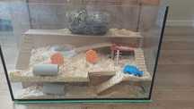Terrarium klatka akwarium dla chomika