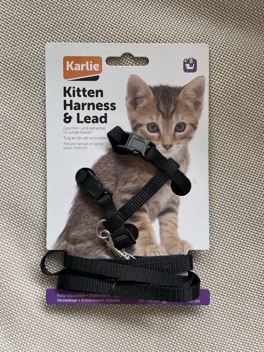 Nowe szelki dla kota