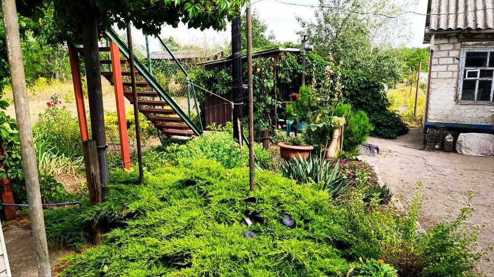 Продам дом в Подгородном с отличным участком