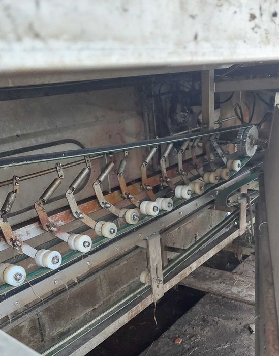 Maquina de lavar alho francês