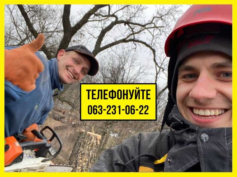 Зрізання дерев, Кронування, Спил, Валка, Обрізка дерев З ВИВОЗОМ