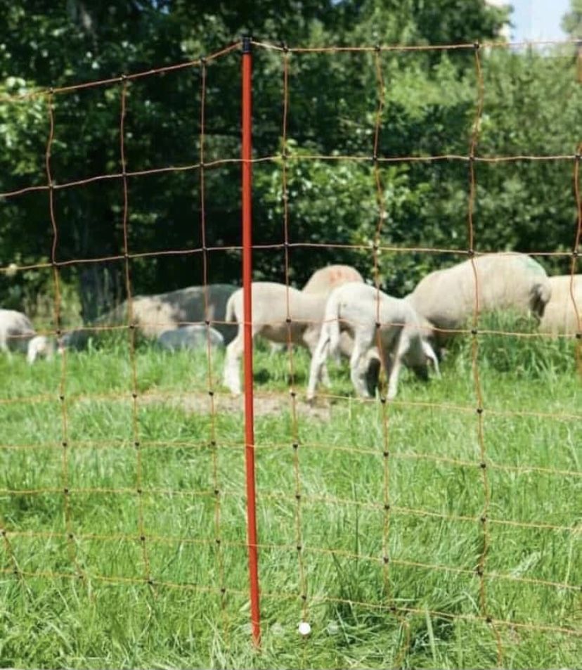 Siatke Elektryczna dla Owiec ,kóz ,malych zwierząt 108 x 50