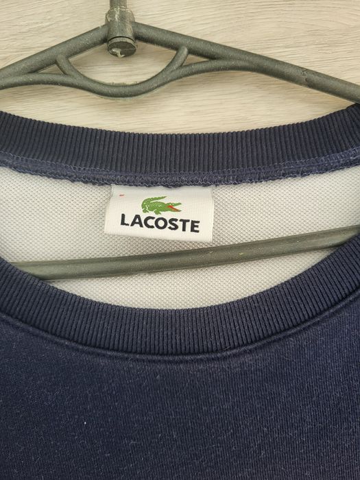 Світшот Lacoste Оригінал