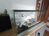 Firmowe Terrarium szklane
