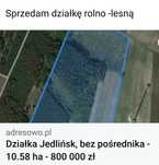 Dzialka rolno leśna. Gmina Jedlińsk