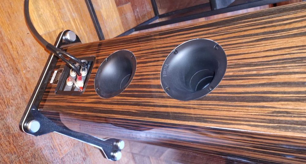 Kolumny Audiofilskie Hi-Res MAGNAT Signature 905 Macassar - PROMOCJA !