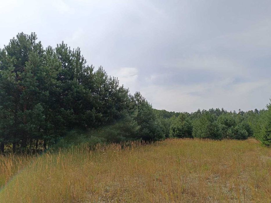 Продаж земельної ділянки під забудову