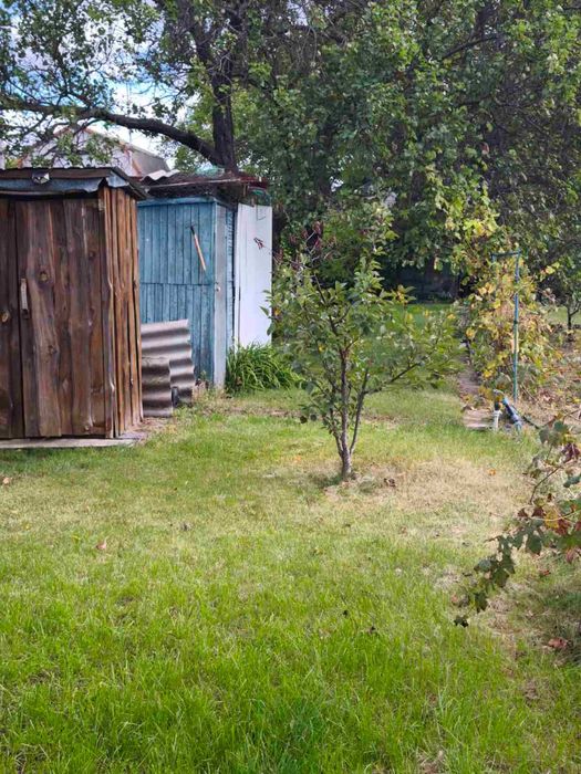 `Продам дачу в кооп. Сади 2 (Власівка), біля Кременчуцького моря.