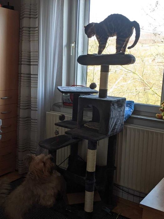 Drapak dla kota duży wysoki drapak NOWY dla kota domek legowisko NOWY