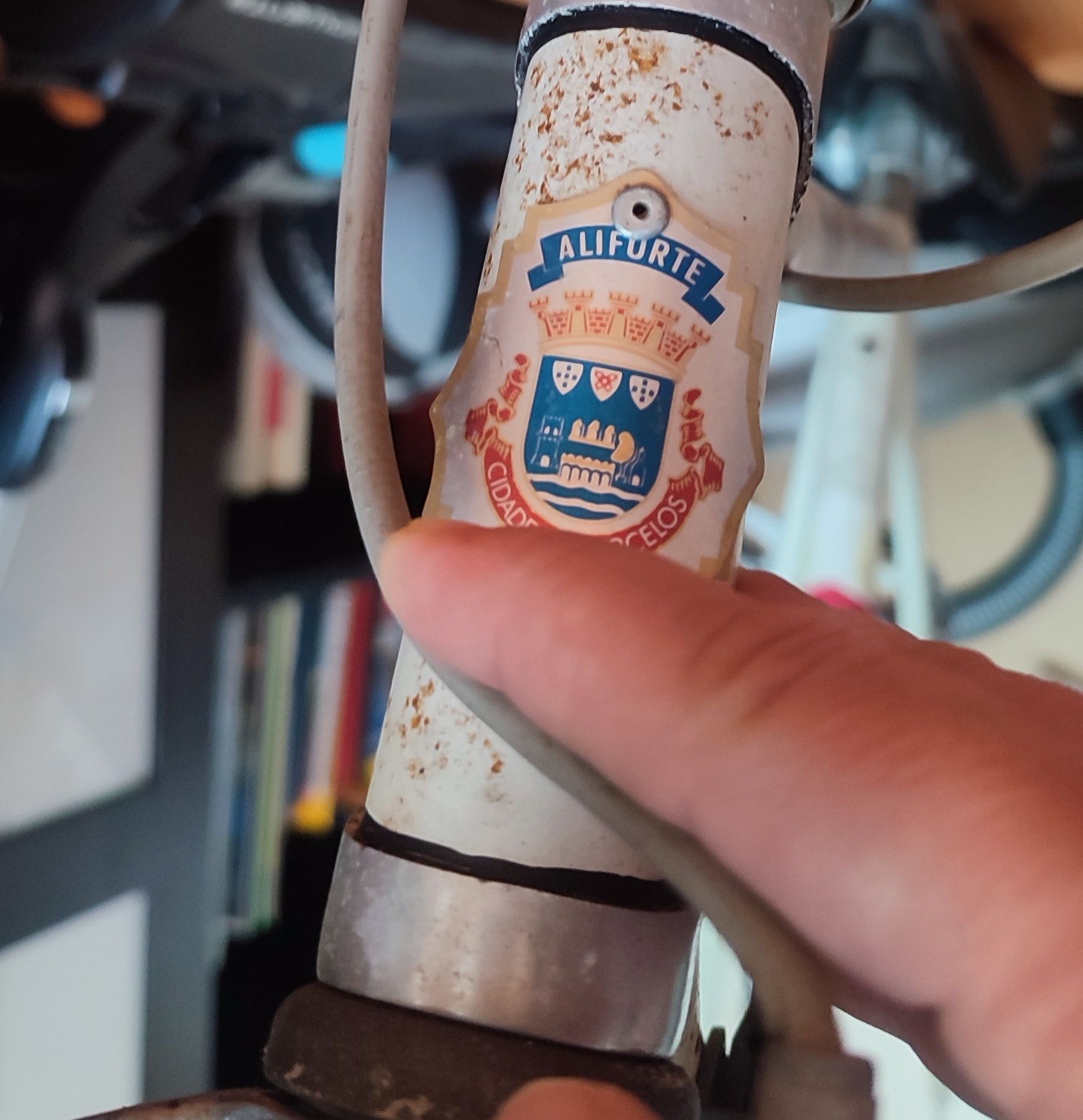 Bicicleta Aliforte clássica