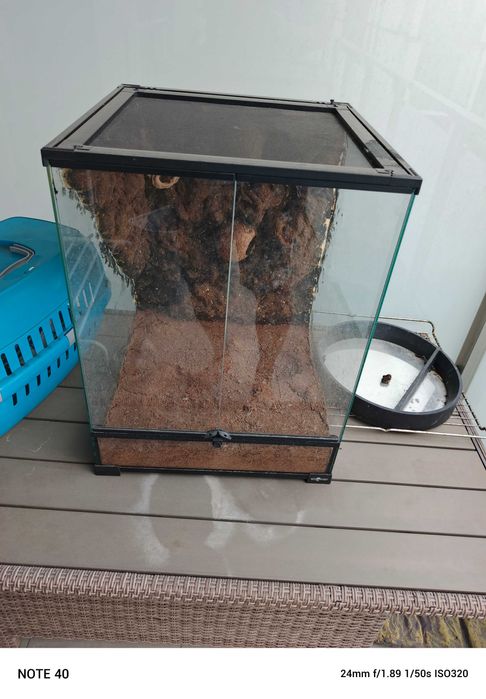 Terrarium dla gekona i innych gryzoni