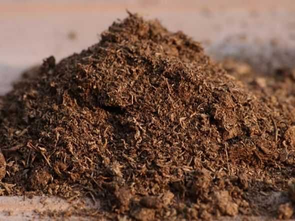 Перегной с доставкой по Днепру и области в мешках и навалом