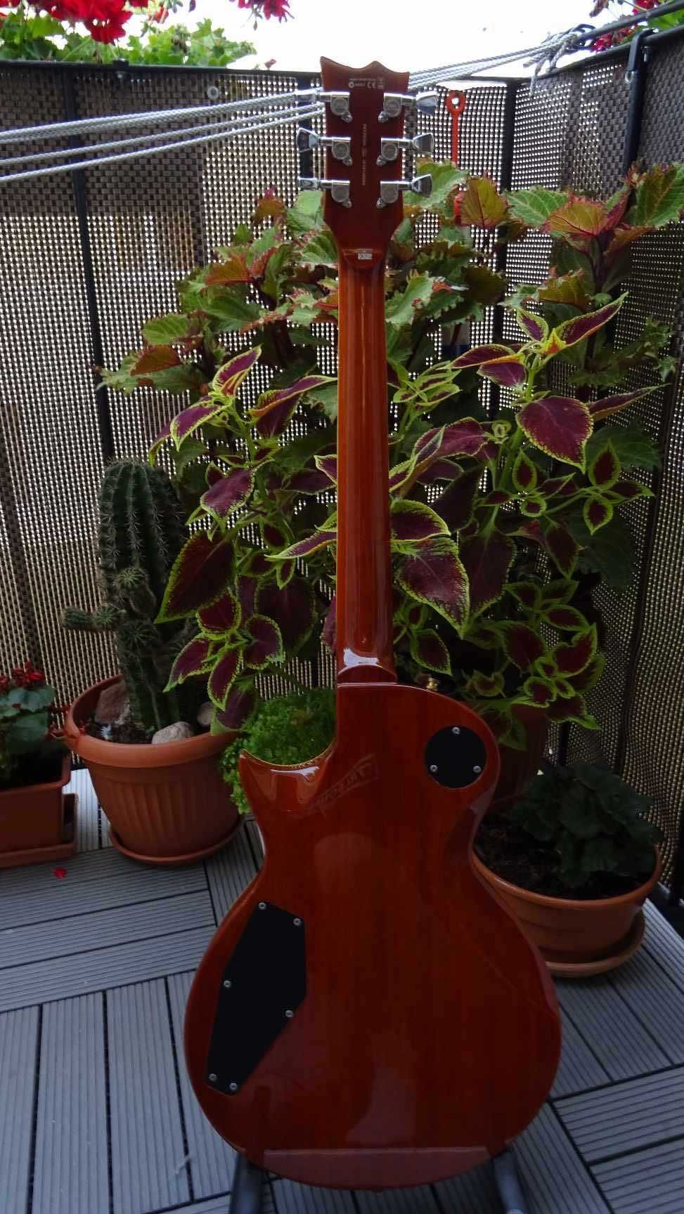 Gitara Elektryczna LTD EC-256