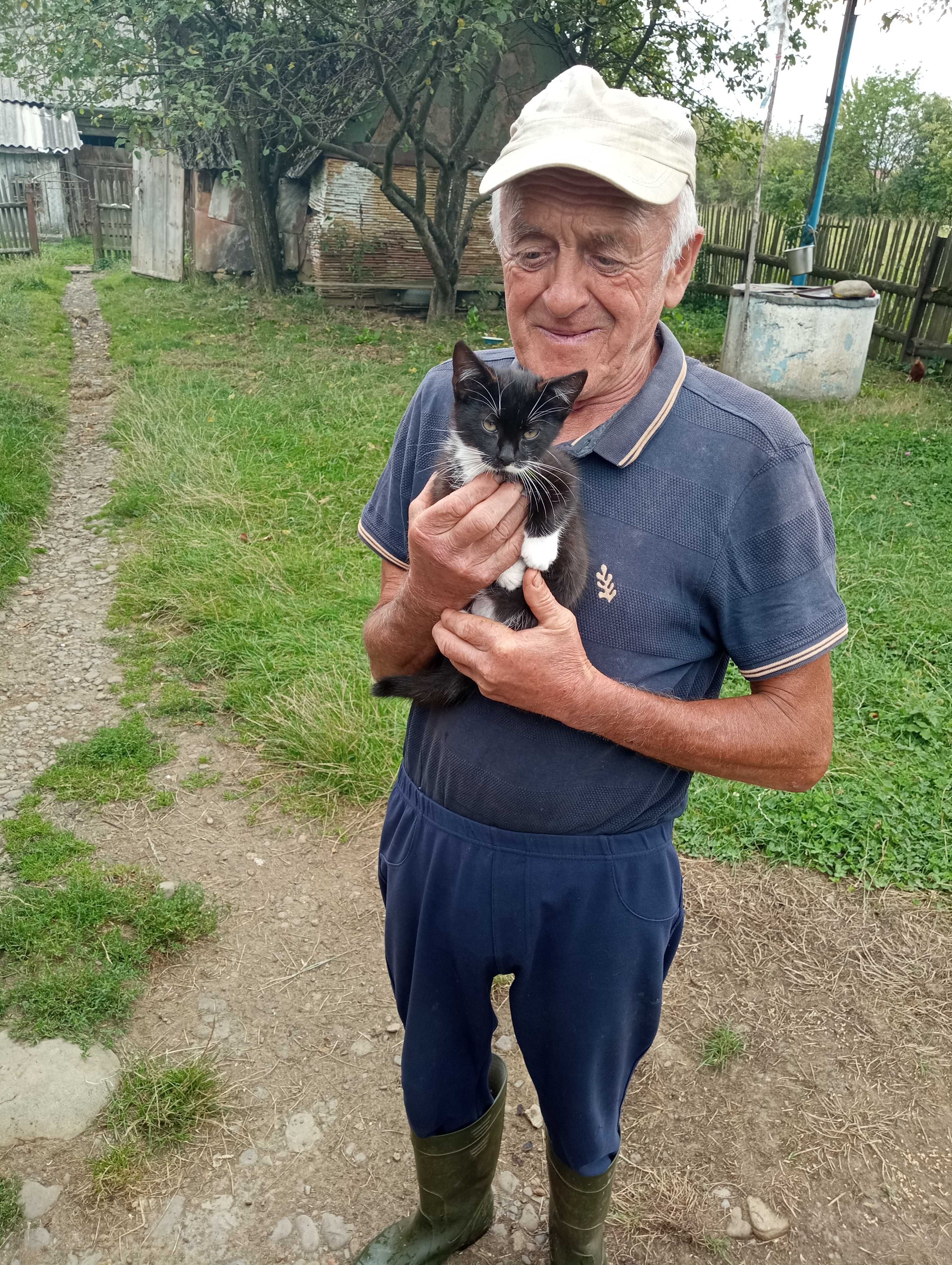 Віддам кошенят в добрі руки.