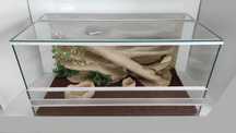 Terrarium dla gekona lamparciego z gliną, AquaWaves TW13PG
