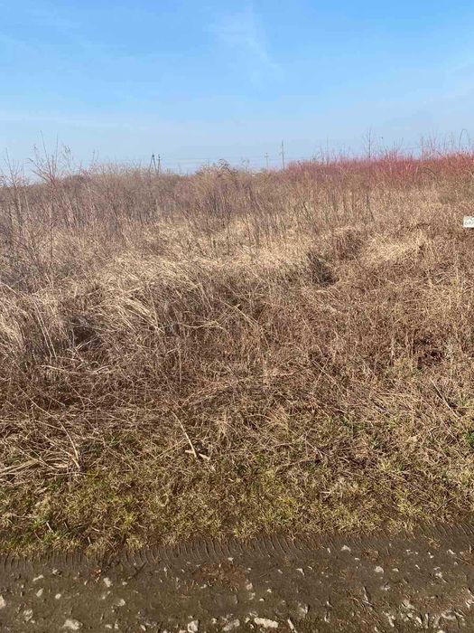 Земельна ділянка с. Холмок