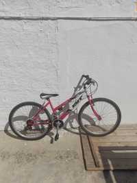 Bicicleta rapariga