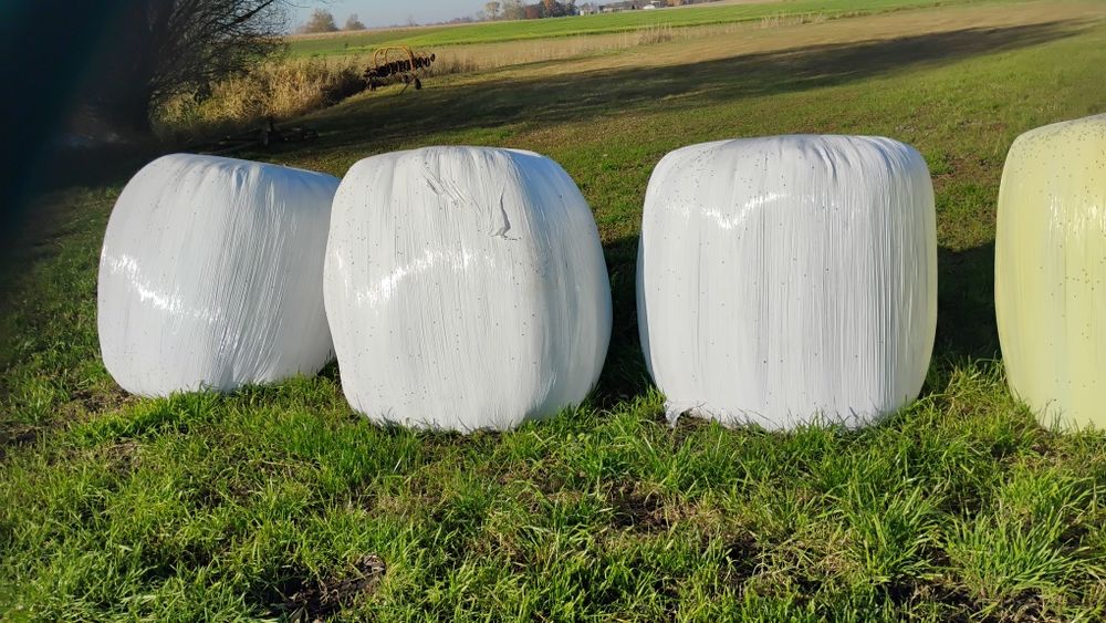 Sianokiszonka z trawy