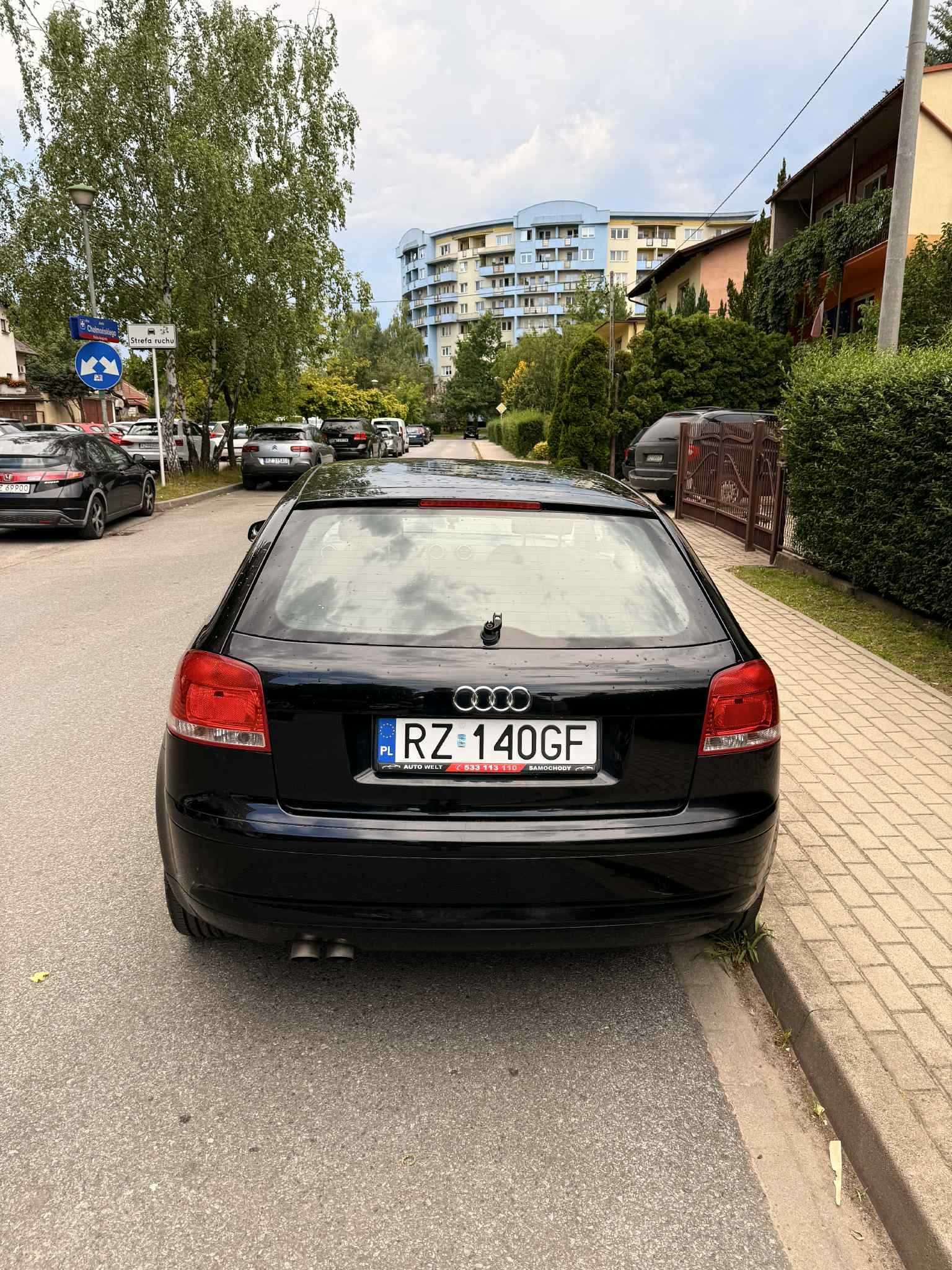 Audi A3 8P 1.9 TDI