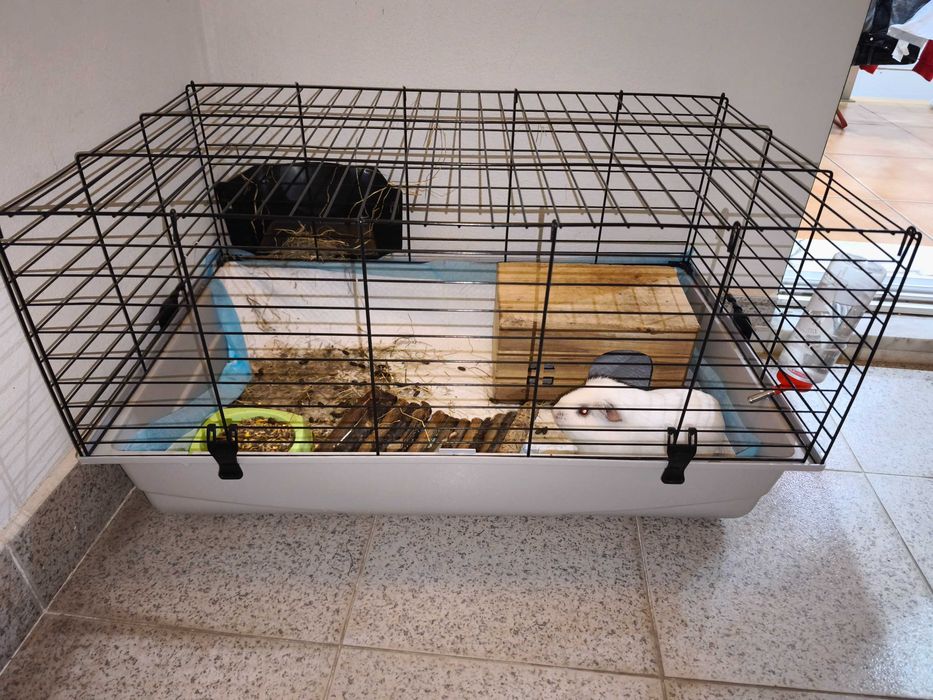 Gaiola c/  + Ofertas