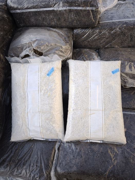 Міцелій Шампіньйону 0,5 кг