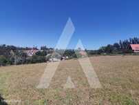 Terreno Urbano para Construção de Moradia nas Frias - Albergaria-a-...