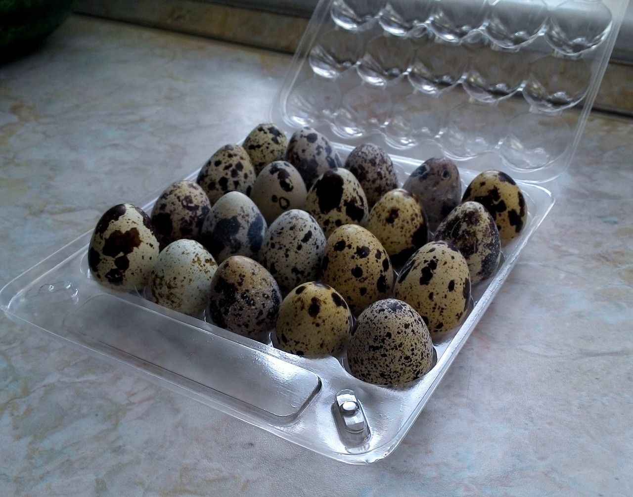 Инкубационные яйца перепела