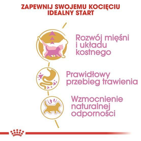 Karma dla kociąt, kotek w ciąży/karmiących Royal Canin BRYTYJCZYK 2kg