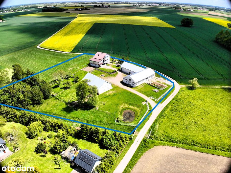 Dom | Budynki | duża działka | Wilkowo, gm. Opinogóra Górna