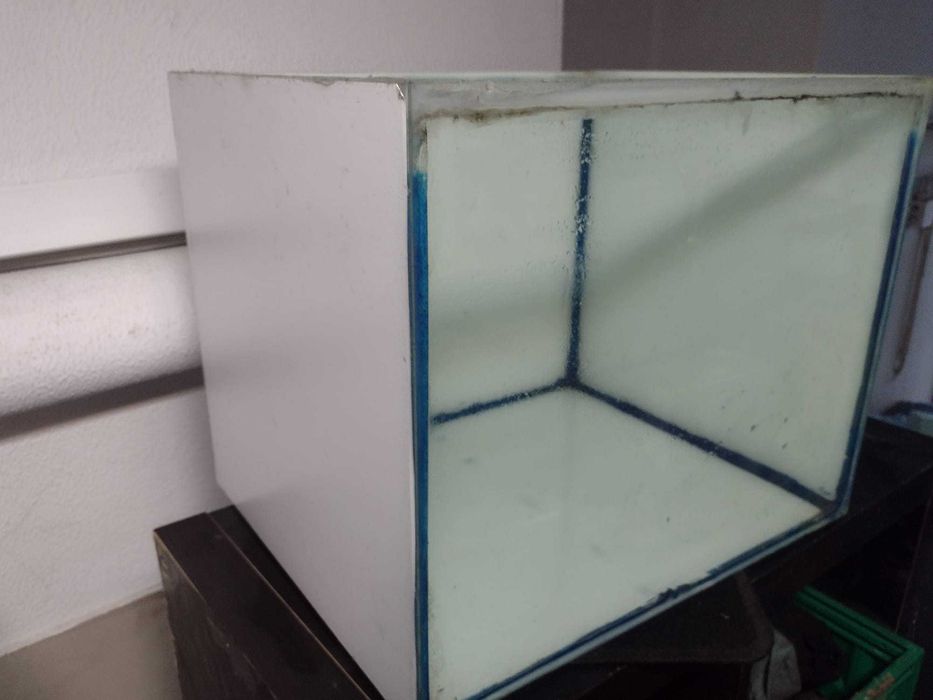 Aquario 76 Litros