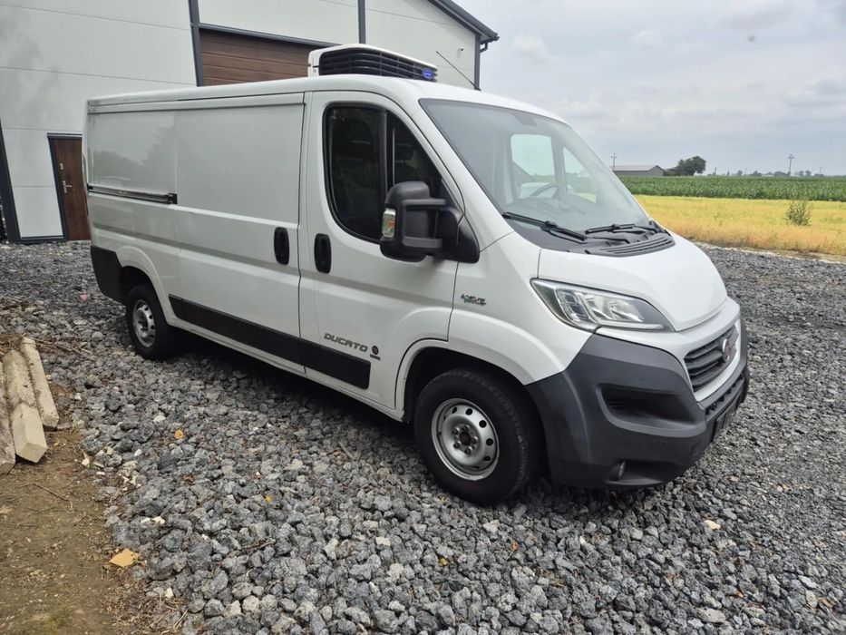 Fiat Ducato L2H1  L2H1 3.0 carrier 230v **klima**chłodnia mroźnia izoterma
