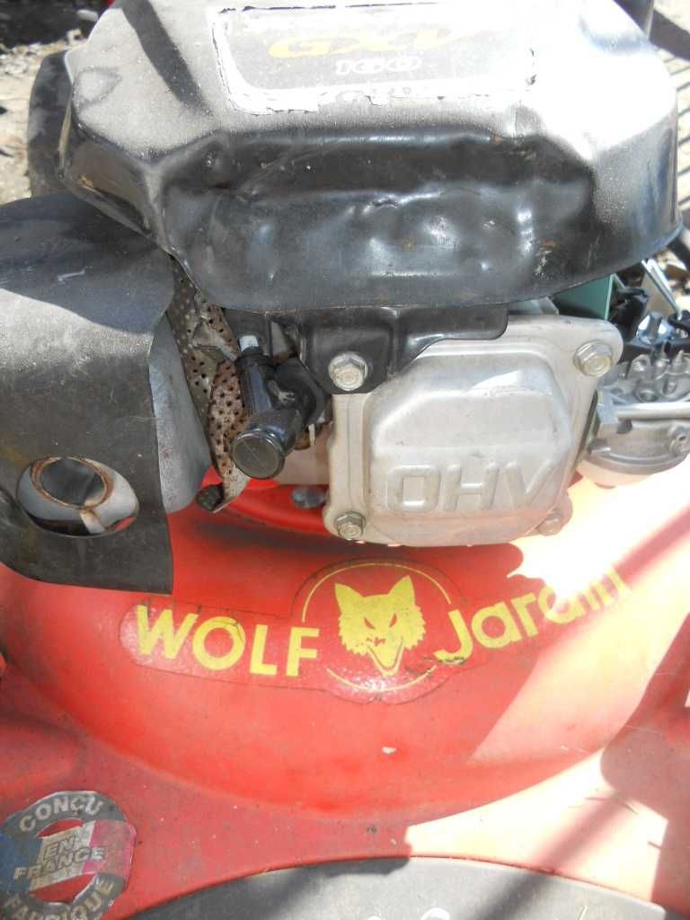 Honda GXV 160 WOLF JARDIN Kosiarka spalinowa z napedami