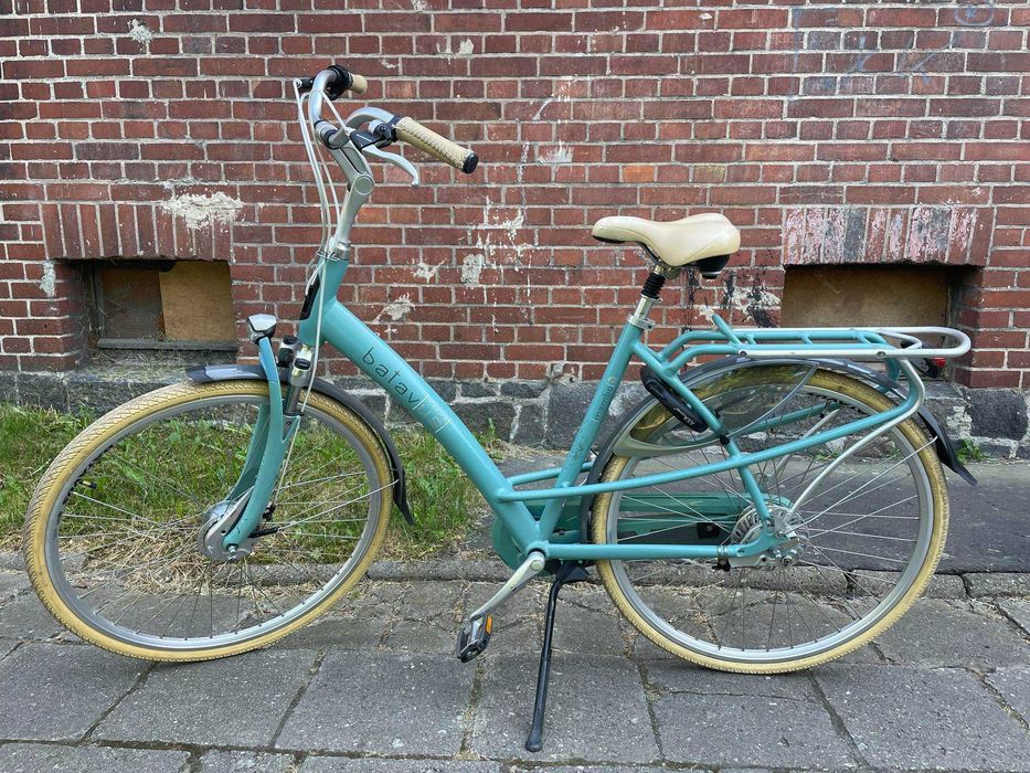 Rower Batavus Mambo Inspire