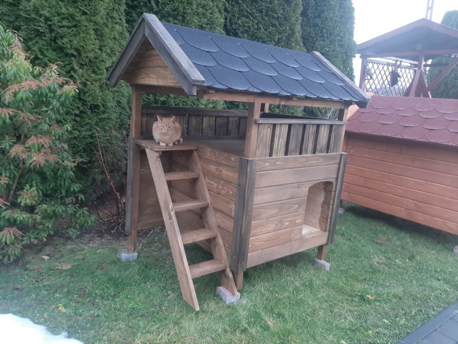 Buda dla psa lub kota z poddaszem