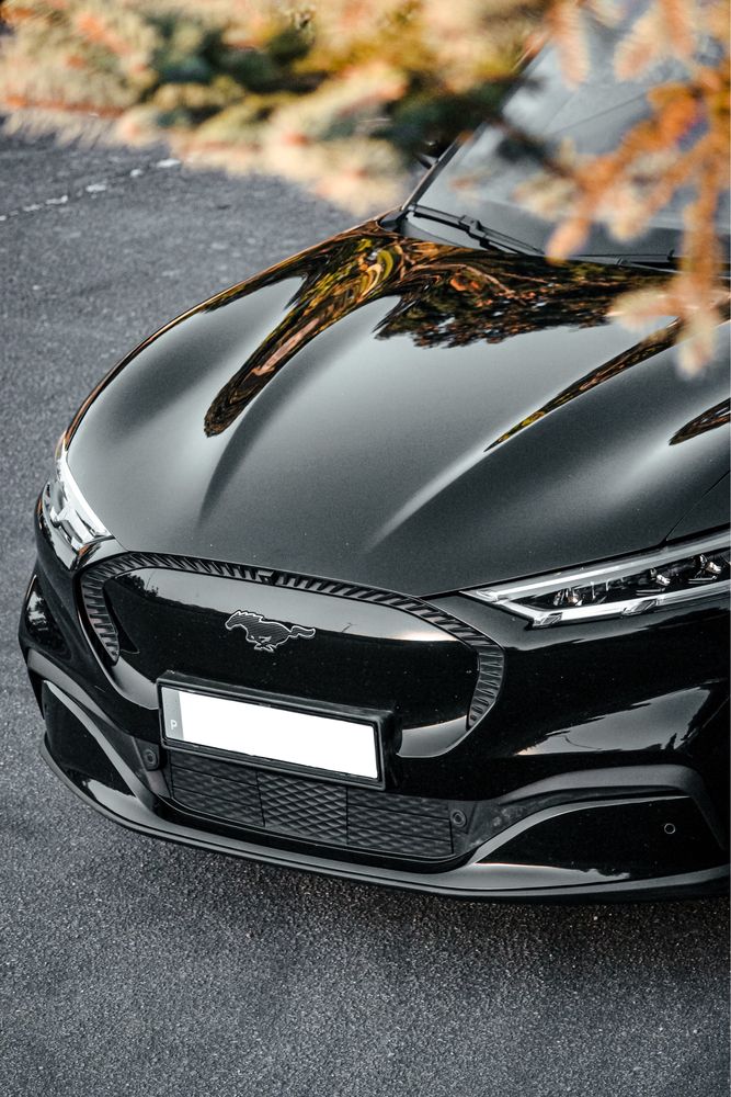 Ford Mustang Mach-E 2021