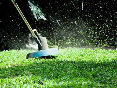 Покосим траву. Скос травы. Покос травы. Уборка участка. Спил деревьев.