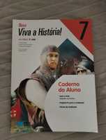 Manuais de atividades /cadernos de atividades 7o ano