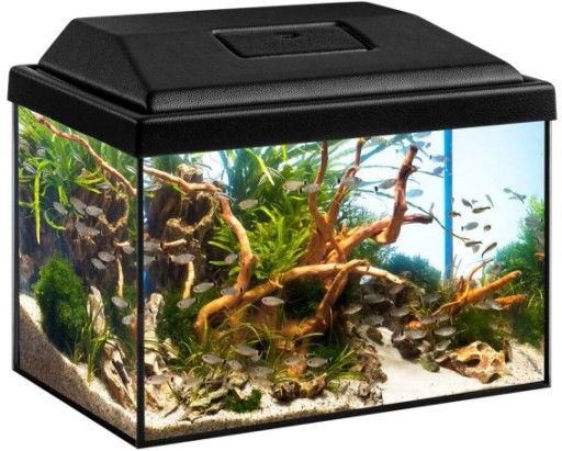 akwarium diversa startup 50 Led (50x25x30) komplet