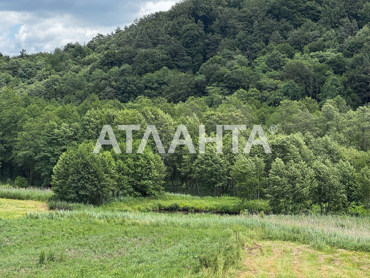 Продаж ділянки з виглядом на ліс і озеро 15 сот с/г