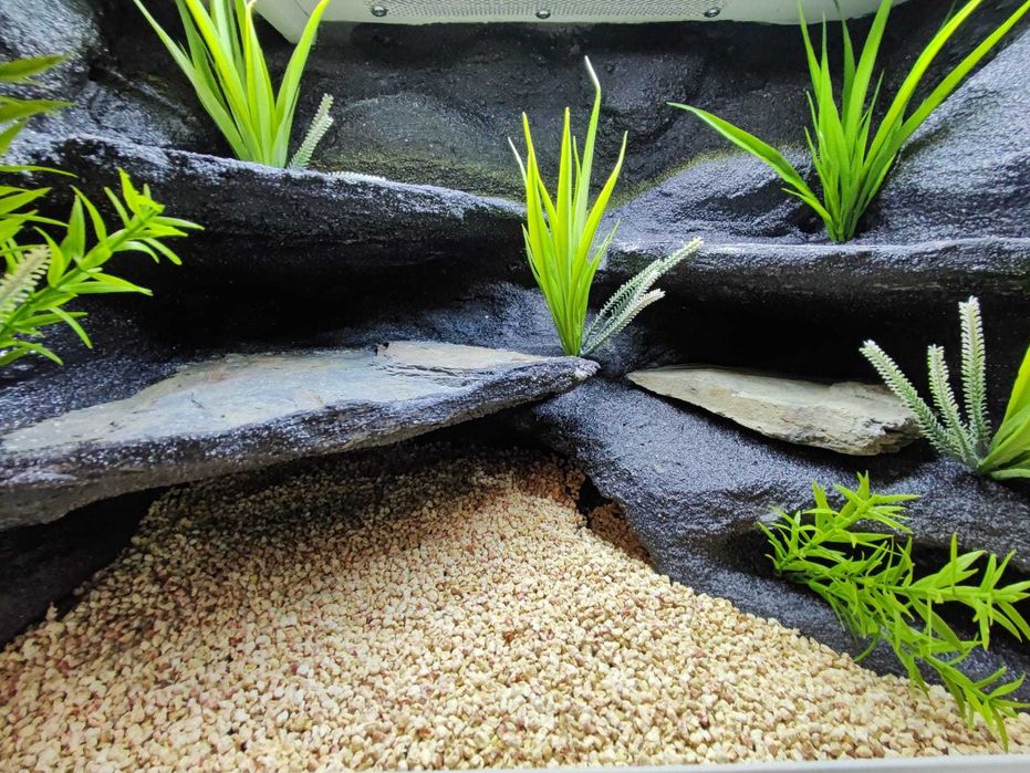 Terrarium pustynne nr687 60/40/40 dla gekona lamparciego DOSTĘPNE