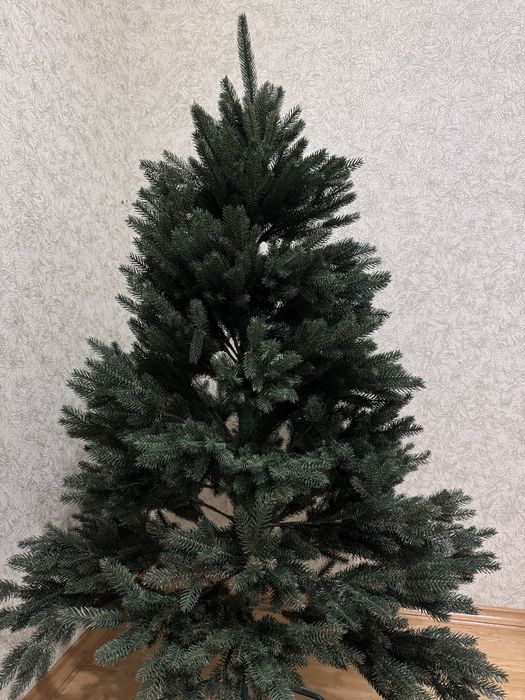 Ялинка лита Віденська