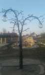 Latarnia .Lampa ogrodowa --drzewo