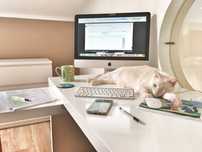 iMac 21,5-inch (Meados 2010)