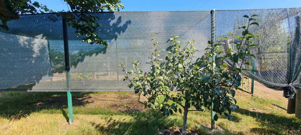 Садовий будинок у районі Цегельного Заводу